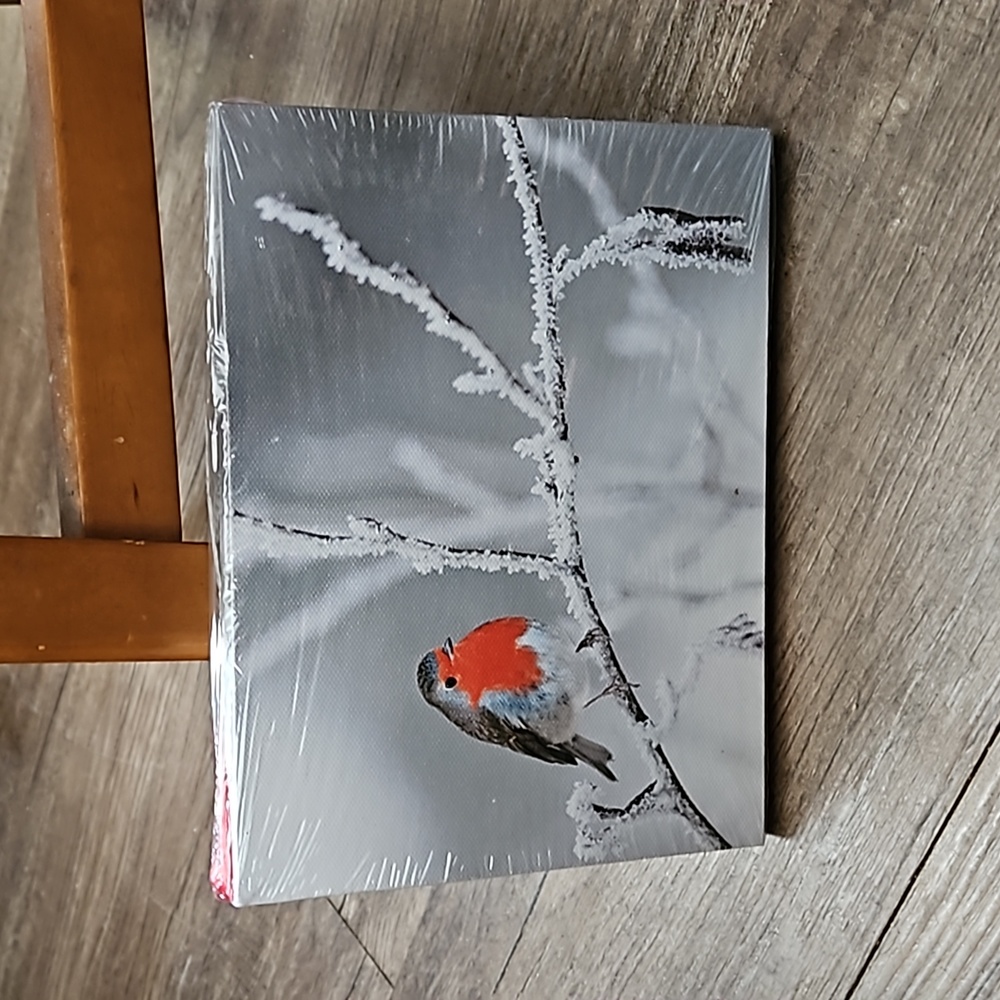 Ganz, light-up, Winter Robin, 8x6, wall decor